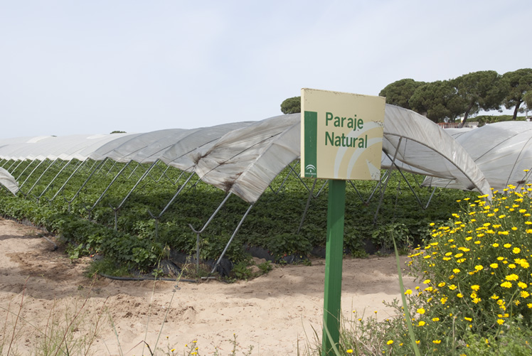 Paraje Natural en Palos de la Frontera