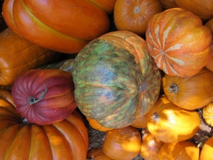 Calabaza